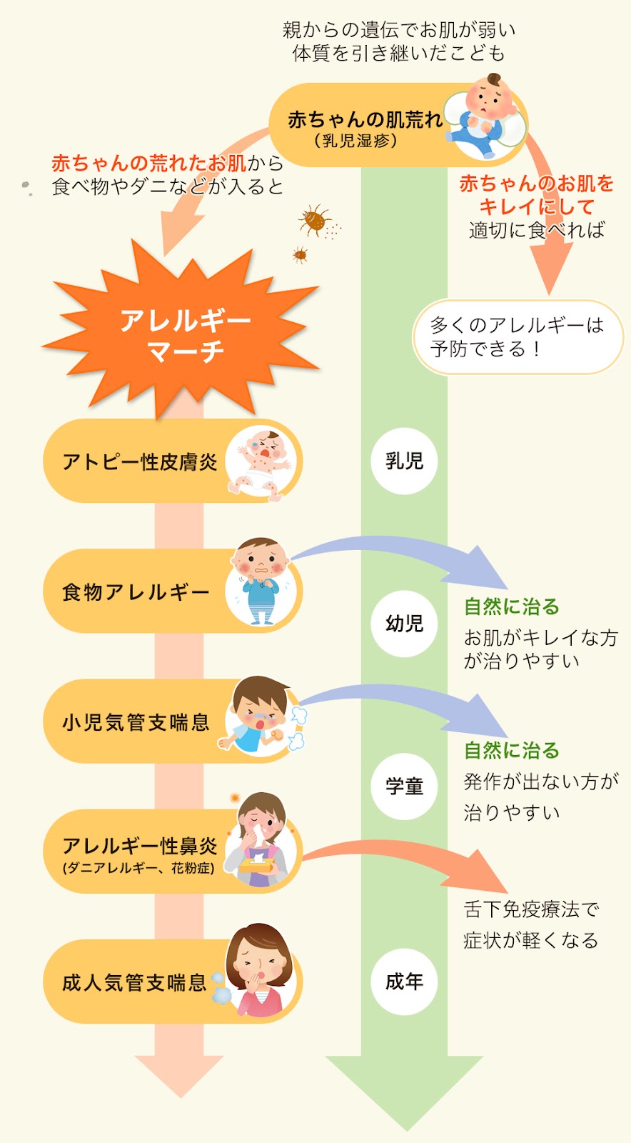 十日市場こどもクリニック受診に関してのポイント集：アレルギー外来(2023年5月)